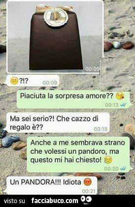 Piaciuta la sorpresa amore? Ma sei serio?! Che cazzo di regalo è? Anche a me sembrava strano che volessi un pandoro, ma questo mi hai chiesto! Un pandora! Idiota