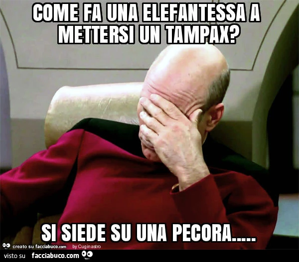 Come fa una elefantessa a mettersi un tampax? Si siede su una pecora