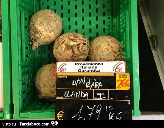 Vaccata