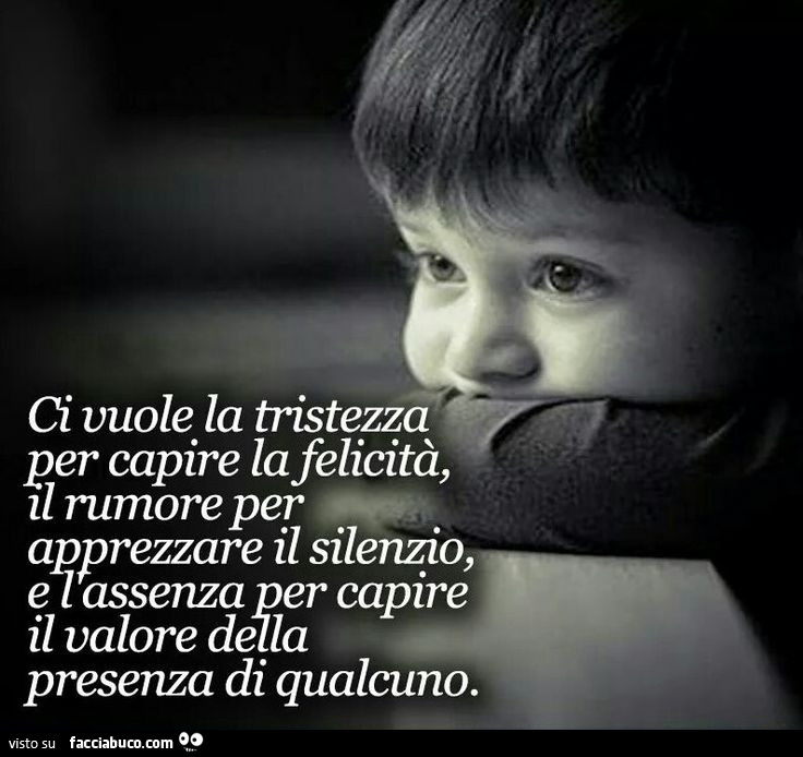 Ci vuole la tristezza per capire la felicità, il rumore per apprezzare il silenzio, e l'assenza per capire il valore della presenza di qualcuno