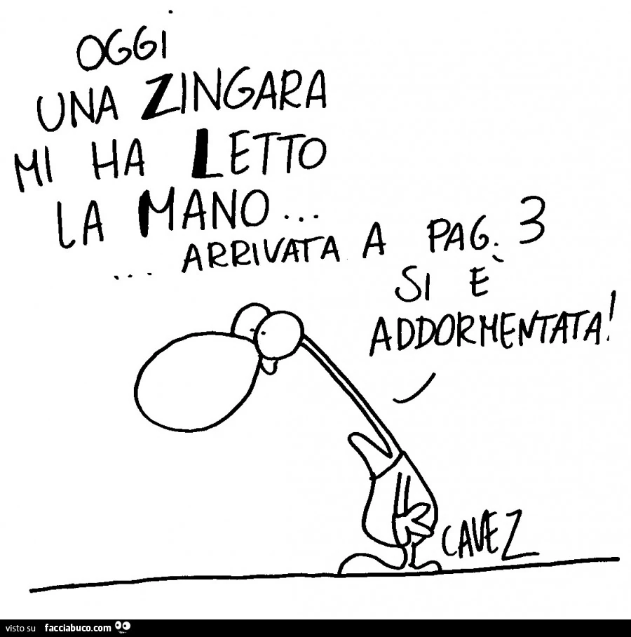 Oggi una zingara mi ha letto la mano. Arrivata a pagina 3 si è addormentata