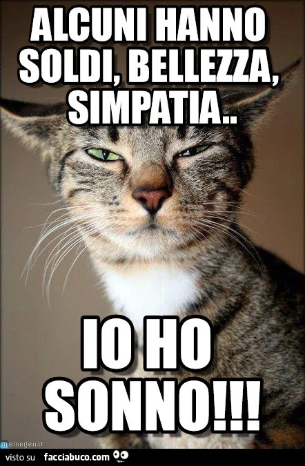 Alcuni hanno soldi, bellezza, simpatia. Io ho sonno