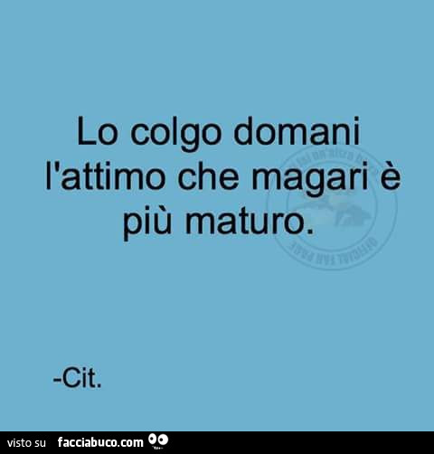 Lo colgo domani l'attimo, che magari è più maturo