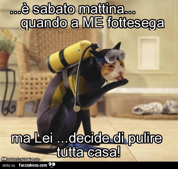 È sabato mattina… quando a me fottesega ma lei… decide di pulire tutta casa