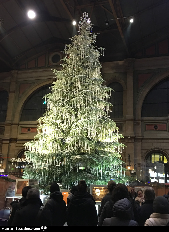 Albero Di Natale Zurigo.Albero Di Natale Di Zurigo Facciabuco Com