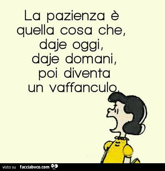 La pazienza è quella cosa che daje oggi, e daje domani, poi diventa un vaffanculo