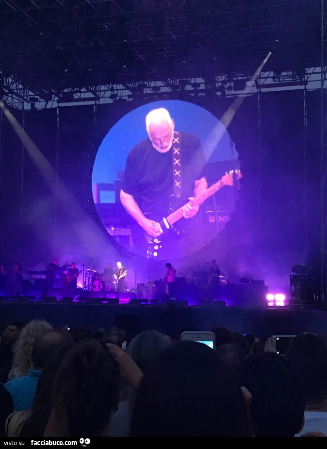 Concerto Live