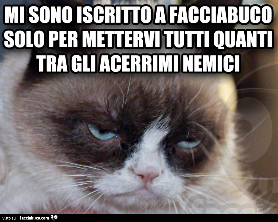 Mi sono iscritto a Facciabuco solo per mettervi tutti quanti tra gli acerrimi nemici