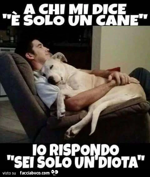 A chi mi dice è solo un cane, io rispondo sei solo un idiota