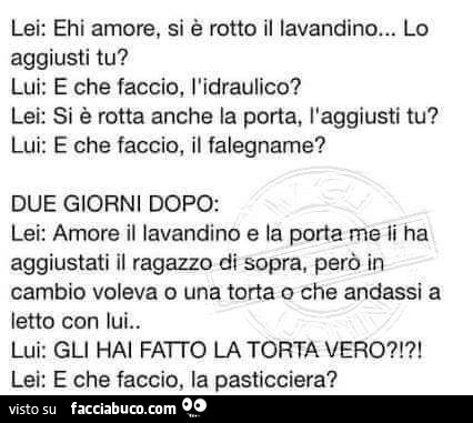 Lei: ehi amore, si è rotto il lavandino… lo aggiusti tu? Lui: e che faccio, l'idraulico?