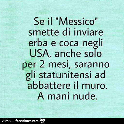 Se il Messico smette di inviare erba e coca negli USA, anche solo per 2 mesi, saranno gli statunitensi ad abbattere il muro. A mani nude