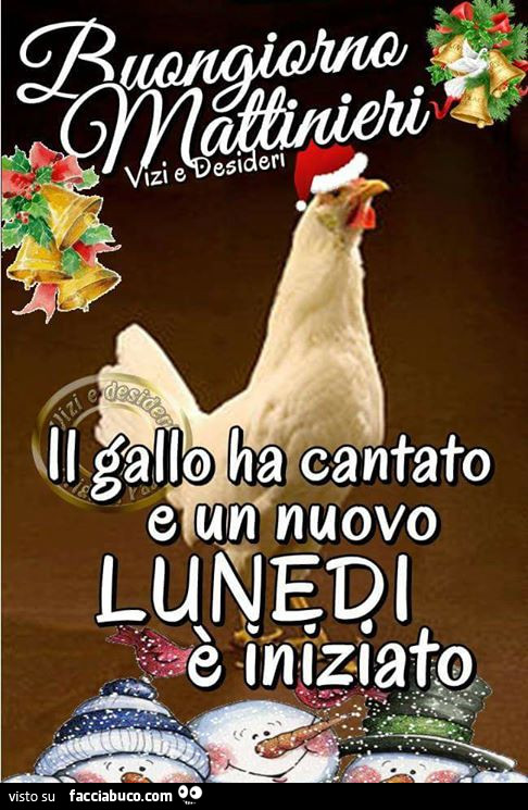 Buongiorno mattinieri. Il gallo ha cantato e un nuovo Lunedì è iniziato