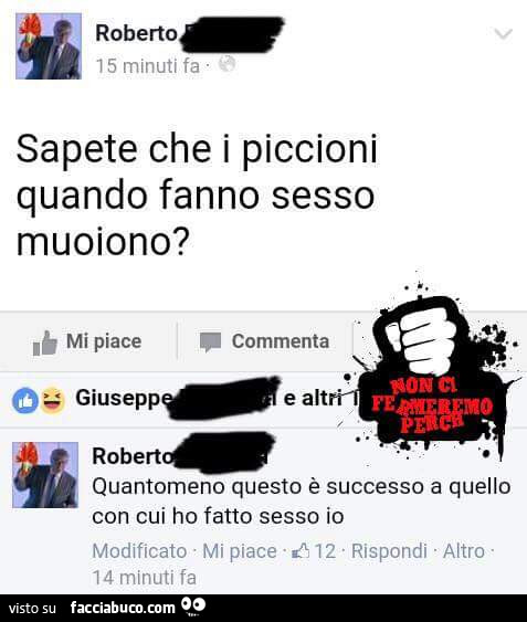 Sapete che i piccioni quando fanno sesso muoiono? Quantomeno questo è successo a quello con cui ho fatto sesso io