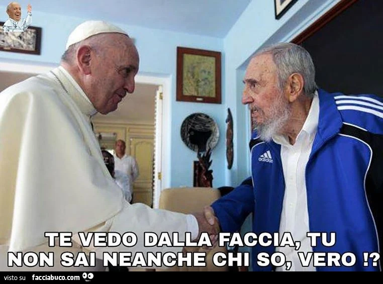 Vaccata