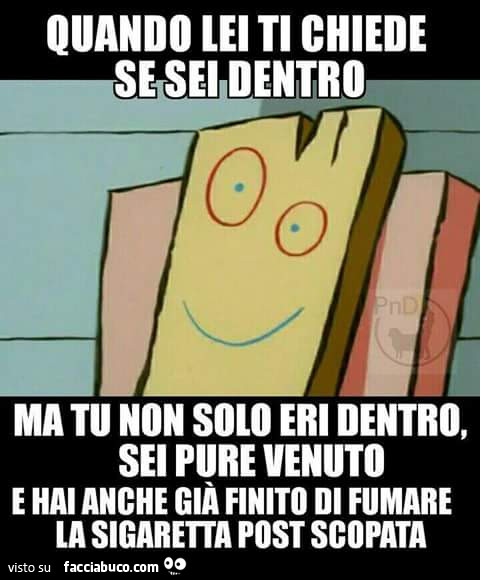 Quando lei ti chiede se sei dentro, ma tu non solo eri dentro, sei pure venuto e hai anche già finito di fumare la sigaretta post scopata