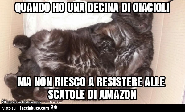 Quando ho una decina di giacigli ma non riesco a resistere alle scatole di amazon