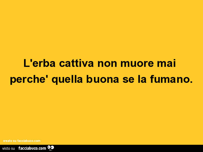 L'erba cattiva non muore mai perchè quella buona se la fumano