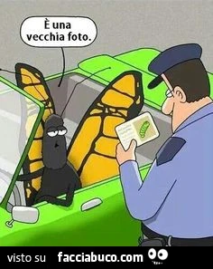 Vaccata
