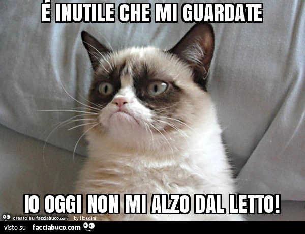 É inutile che mi guardate io oggi non mi alzo dal letto