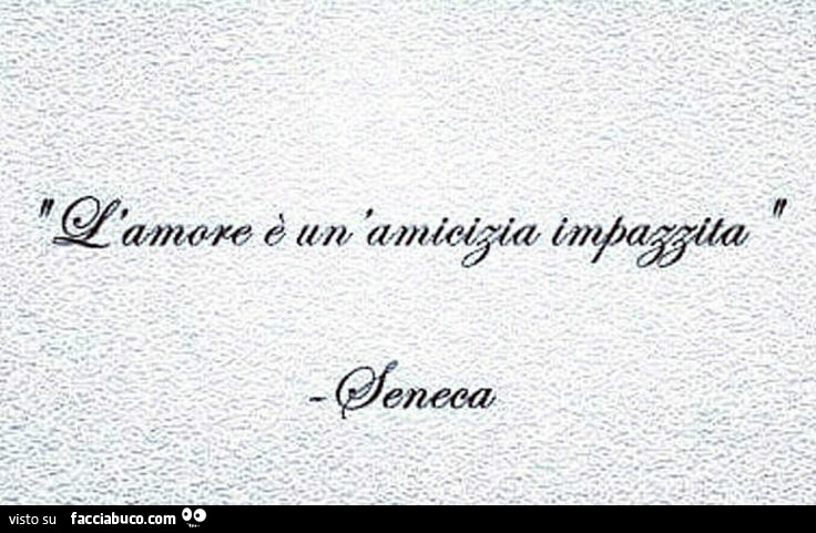 L'amore è un'amicizia impazzita. Seneca