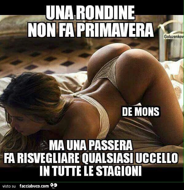 Una rondine non fa primavera ma una passera fa risvegliare qualsiasi uccello in tutte le stagioni