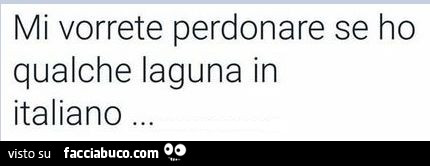 Mi vorrete perdonare se ho qualche laguna in italiano