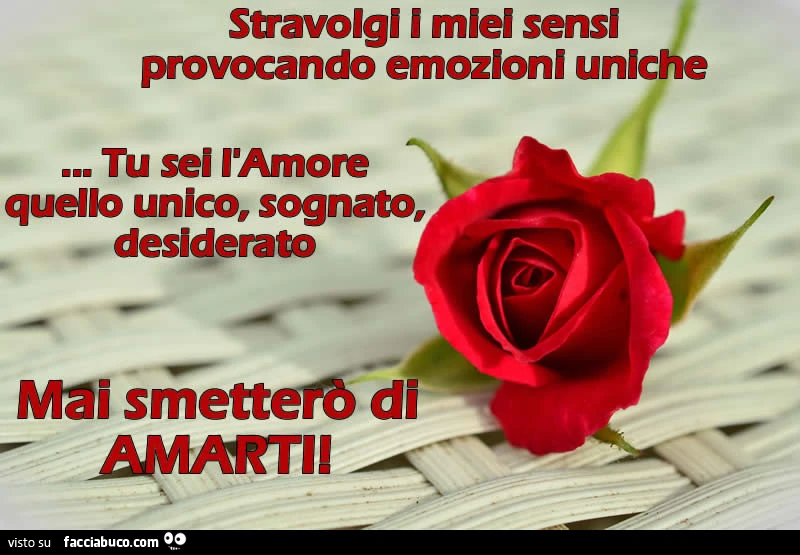 Stravolgi i miei sensi provocando emozioni uniche&hellip; tu sei l'amore, quello unico, sognato, desiderato. Mai smetterò di amarti