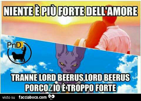 Niente pio forte dell'amore. Tranne Lord Beerus, Lord Beerus porcozio è troppo forte