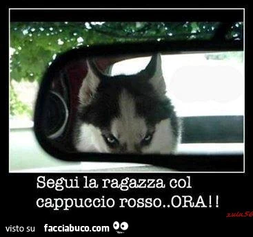 Segui la ragazza col cappuccio rosso. Ora