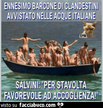 Vaccata